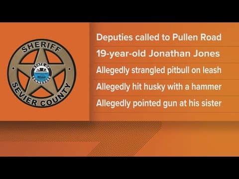 Sevierville man accused of beating dogs with hammer, stick