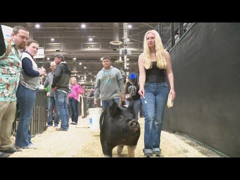 RodeoHouston livestock show participant grateful for support after Texas Panhandle wildfires