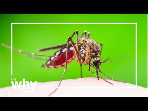 Why could there be a silver lining to our extreme heat?