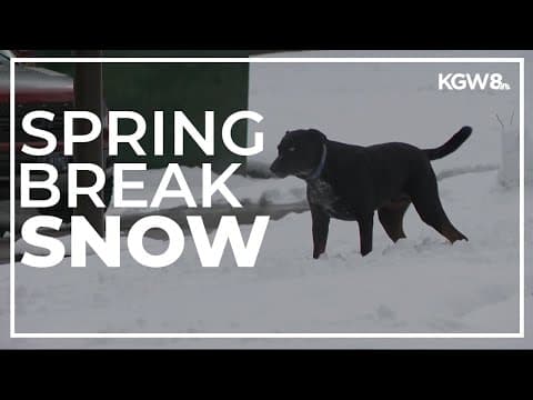 Drivers find Saturday snow on the way out to the coast