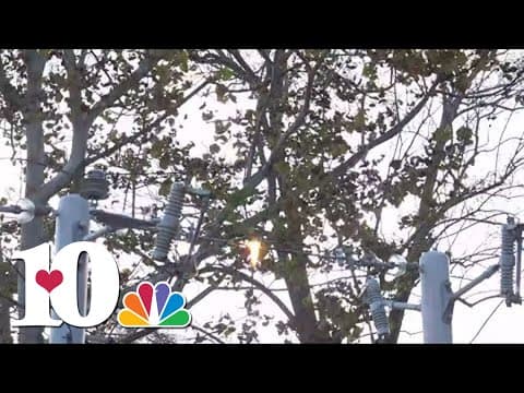 Weather Education Day: KUB cooks up a hotdog on a powerline for Halloween to show dangers