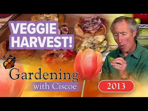VEGGIE HARVEST! Pick, prep and plate your best garden vegetables! | Gardening With Ciscoe | Full Epi