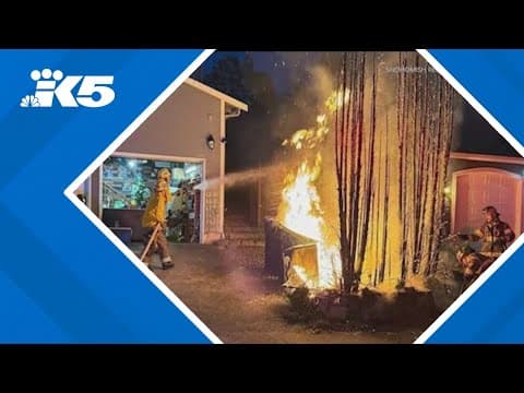 Fireworks cause fire near homes in Lake Stevens