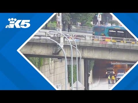 Man arrested for throwing objects onto I-5 to appear in court