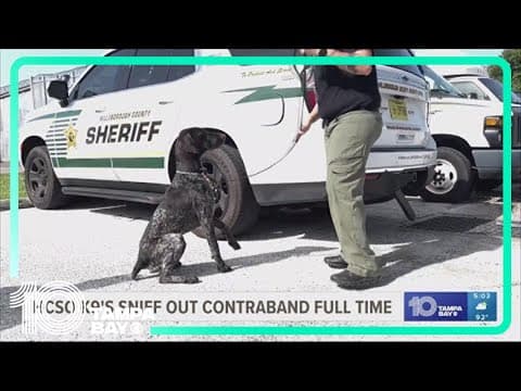HCSO brings in 2 full-time K-9 deputies to sweep jails and detention centers for contraband