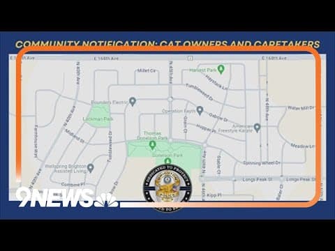 Brighton warns of high number of sick, dead cats