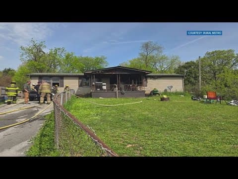 Eight dogs dead after house fire in Mascot