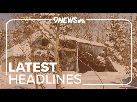 Latest Headlines | Donkeys rescued from collapsed barn after snowstorm