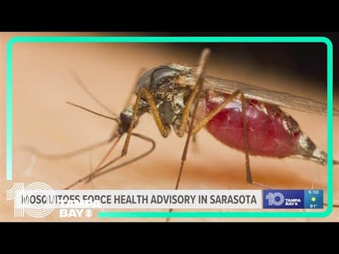 Mosquito-Borne Illness Advisory issued for Sarasota County