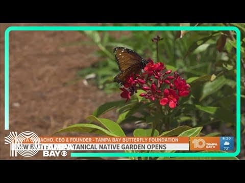 New butterfly botanical native garden opens ahead of Earth Day