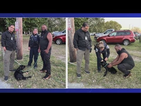 DC Police reunite stolen dog with owner
