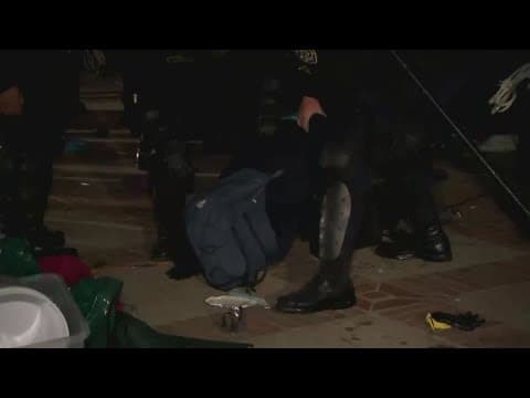 Pro-Palestinian protestors clash with police