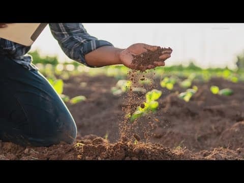 Grow with KARE: DIY soil texture test for home gardeners