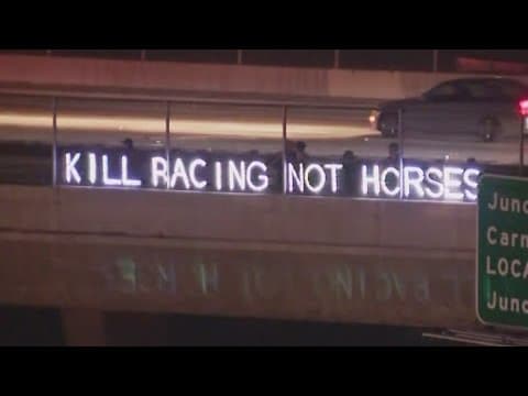'Kill Racing Not Horses' group protests Del Mar horse races