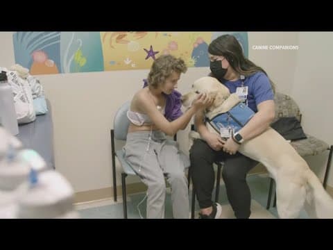 Working Fur Kids | Rady Children's shares the potential impact of resident canine therapy in San Die