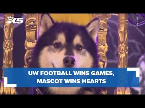 Top Dawg: Huskies keep winning on the field, Dubs II wins hearts everywhere