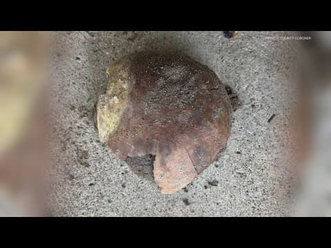 4,000-year-old skull found along Fayette County river