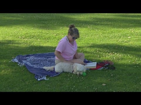 City approves $43 million renovation project at Mira Mesa Community Park