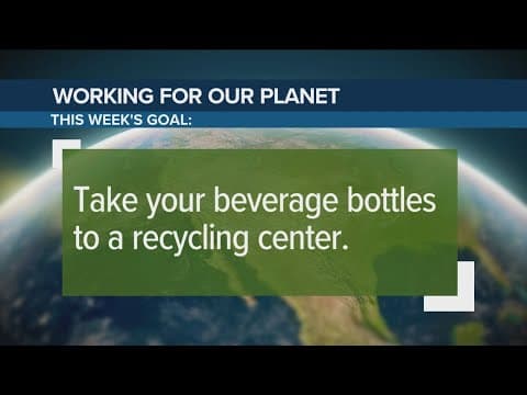 Recycling for cash: how to earn money while helping the planet