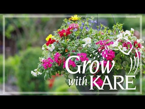 Grow with KARE: Hanging baskets