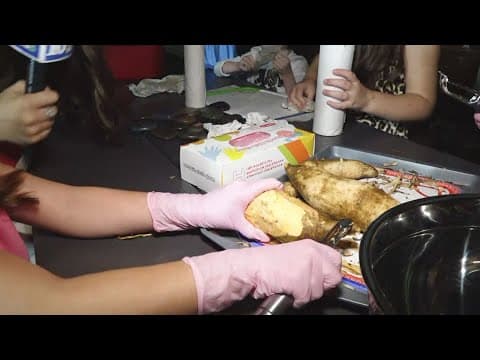 Norwood Elementary students learn how to garden