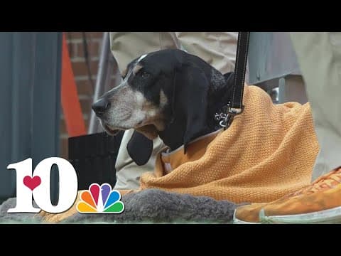 Smokey X's last game