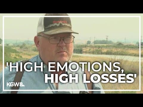 Ranchers in eastern Oregon devastated by Durkee Fire, largest wildfire burning in the US