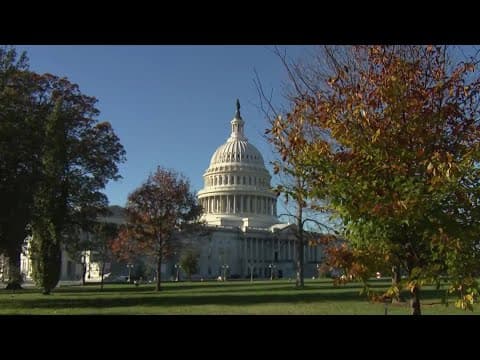 Trump transition: New pick for AG after Matt Gaetz withdraws