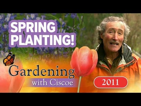 Repurposing winter pots for spring | Gardening With Ciscoe | Full Episode