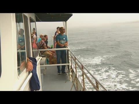 Watching for whales off the San Diego coast