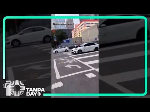 Woman jumps on speeding car after dog is stolen in Los Angeles