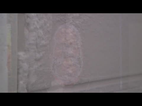 FDA committee advances Alzheimer's drug