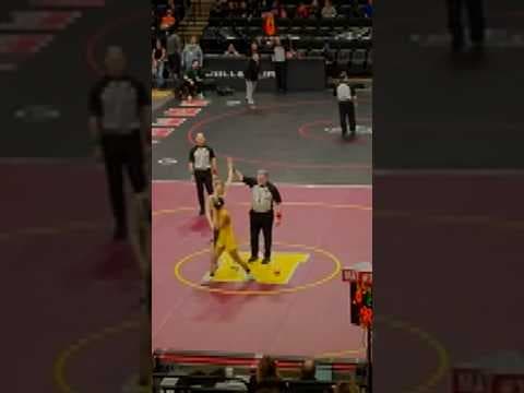 Minnesota wrestler becomes first girl to beat a boy during high school state tournament