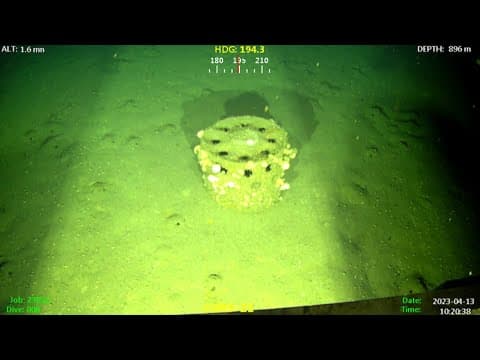 Survey of San Pedro basin seafloor finds munitions, explosives
