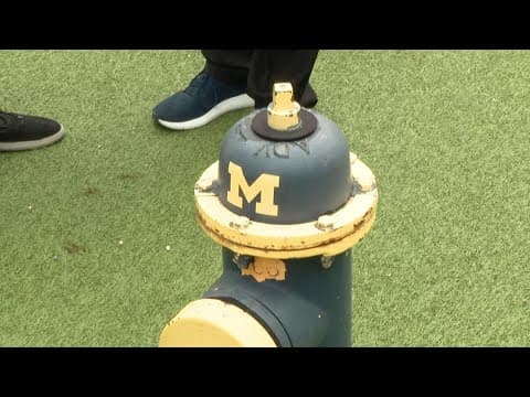 Ohio State veterinary college shares story of Michigan fire hydrant