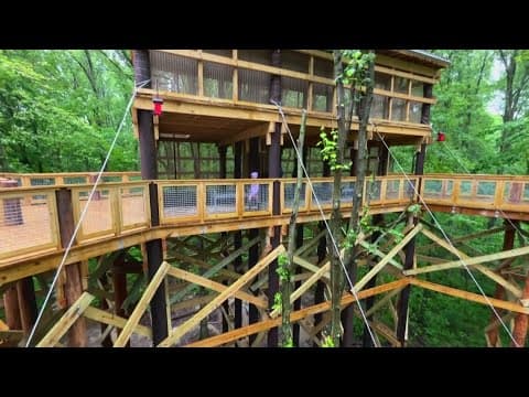 New treetop canopy walk opens at Blacklick Woods Metro Park