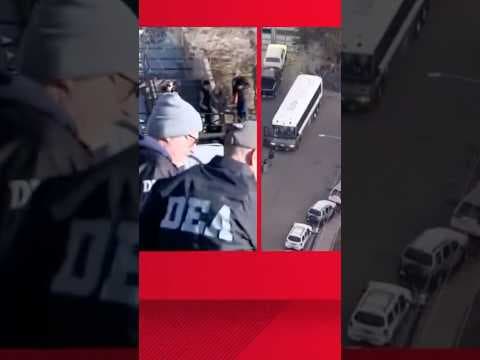 Federal law enforcement operations in Denver metro area