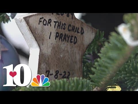 100 ornaments hang on Blount Co. memorial tree for 100 stories of addiction
