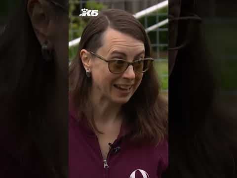 Olympia mother, child hid in bathroom as suspect broke into home to take a shower