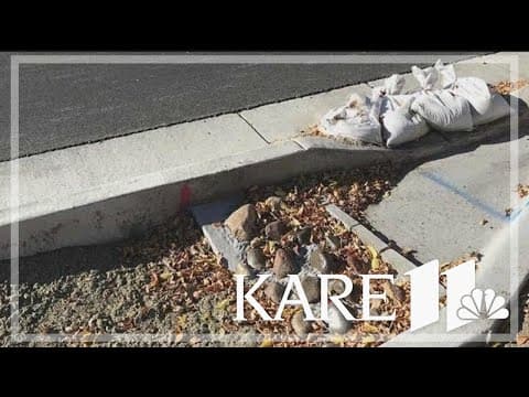 Confusion in Minneapolis over who should maintain rain gardens