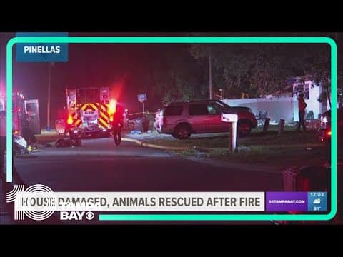 Fire damages home in Lealman