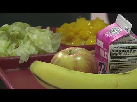 Minnesota moves closer to free school lunches