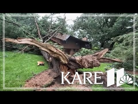Tornadoes knock out power, trees in Twin Cities area