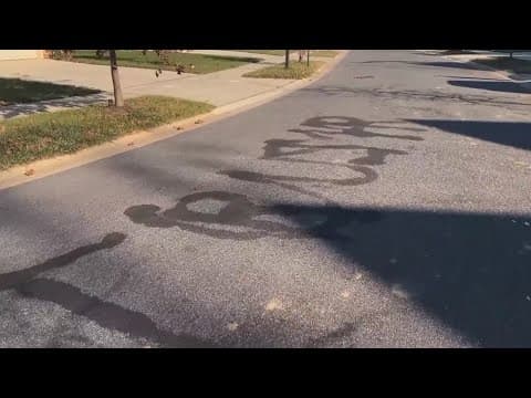 Man uses flamethrower to burn 'TRUMP' into road, wife uploads video to TikTok, court documents show