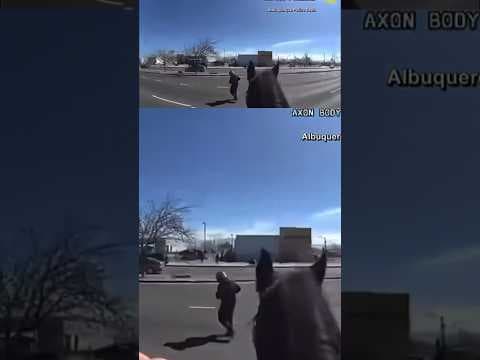 Suspected thief arrested by officers on horseback in New Mexico