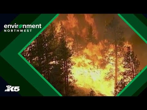 Fire chief, homeowner reflect on devastating 1994 Washington wildfires 30 years later