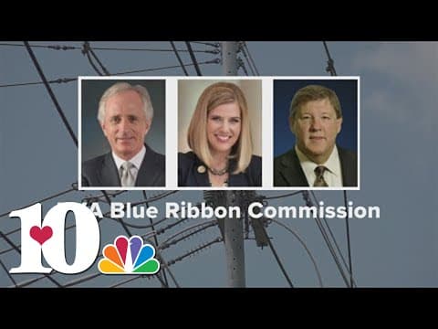 TVA releases report on blackouts