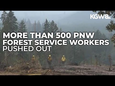 Oregon, Washington senators slam Trump over Forest Service cuts as wildfire season approaches