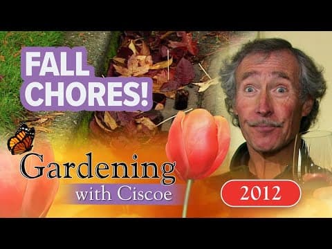 FALL CHORES! Prepare Early and Save Money! | Gardening With Ciscoe | Full Episode