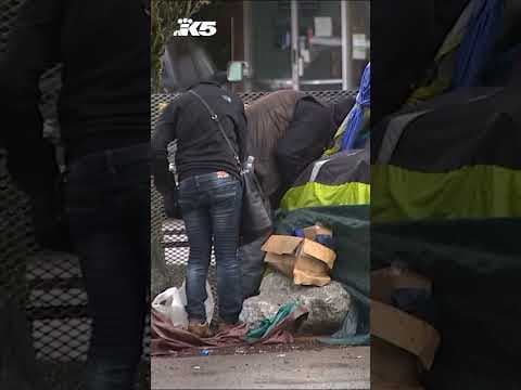 King County withdraws $1M offer to create pallet shelters in Burien